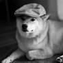 Inspector Shibe