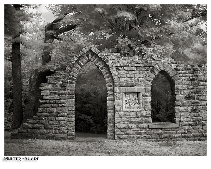 Doorway to the trees