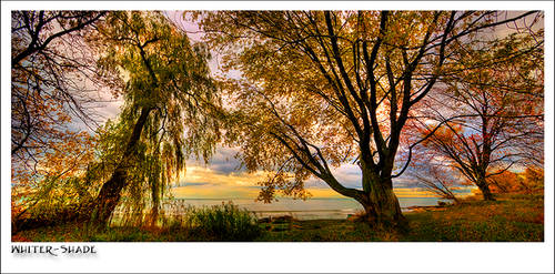 Fall twilight by the lake