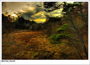 valley of the golden sun