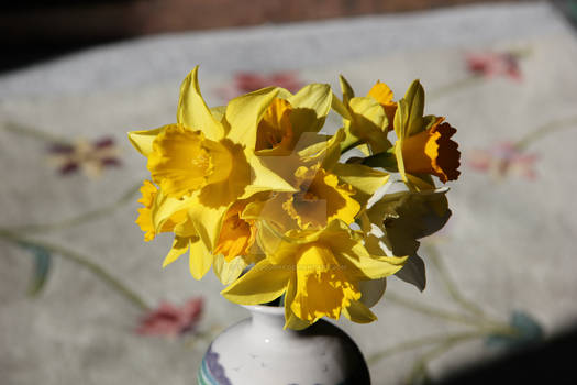 Sunshine Flowers