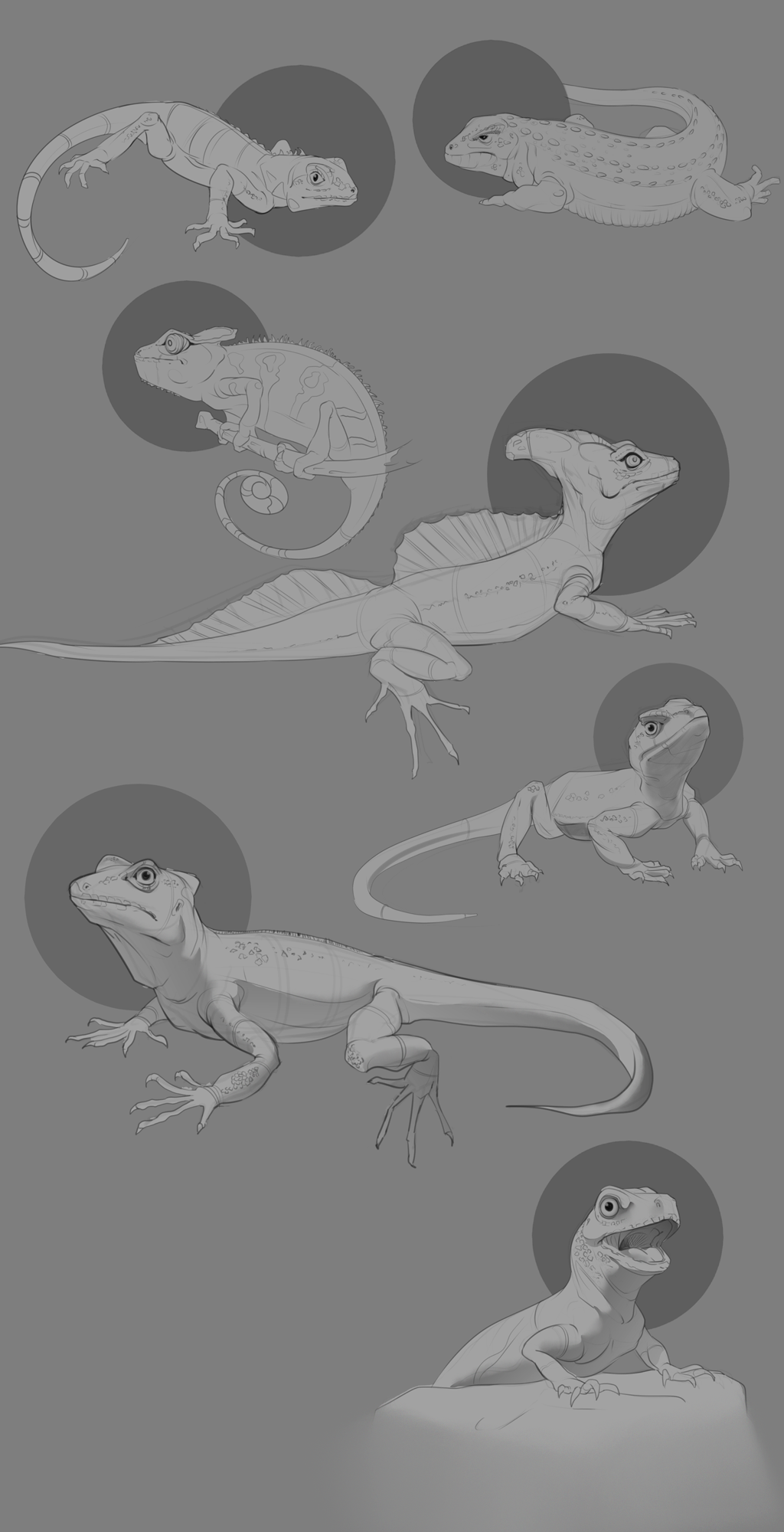 Lizards by Levelerus on DeviantArt