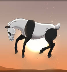 Panda-horse.