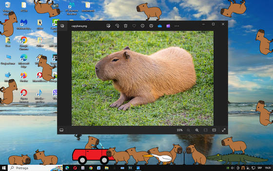 Capybara shimeji!