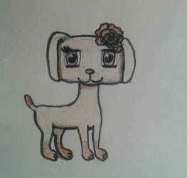 Rose the dog