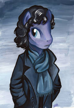 Pony Sherlock