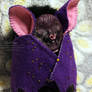 Plushie Bat