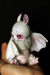 Long-eared albino bat by SweetSign