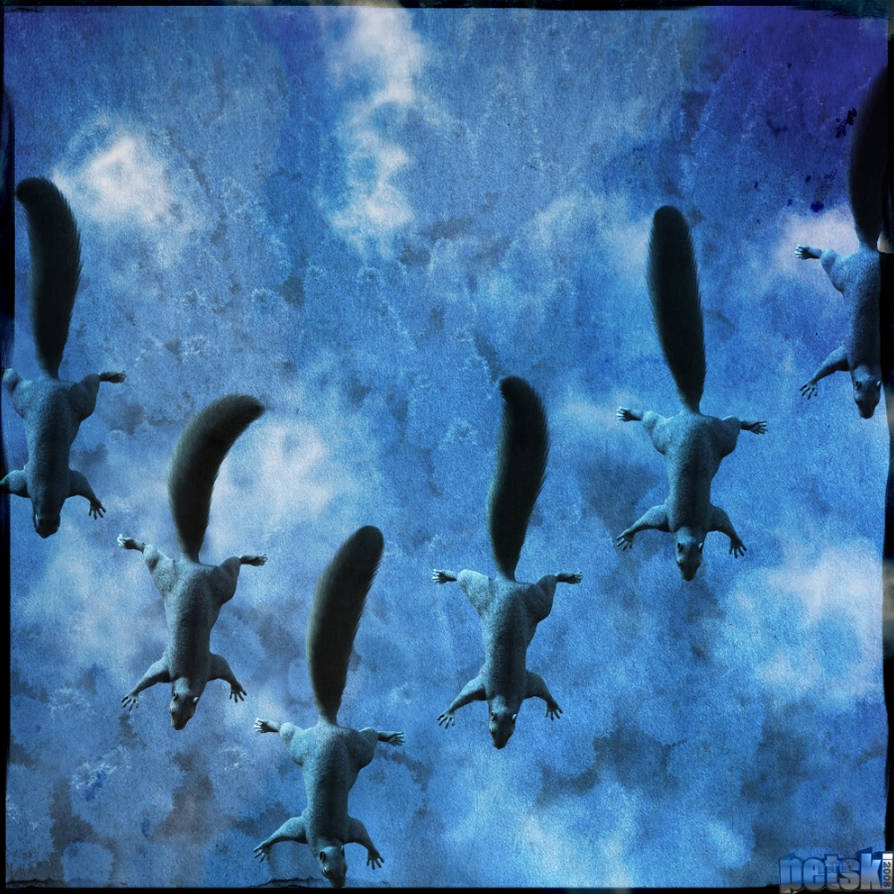 Migration by Lynxander on DeviantArt