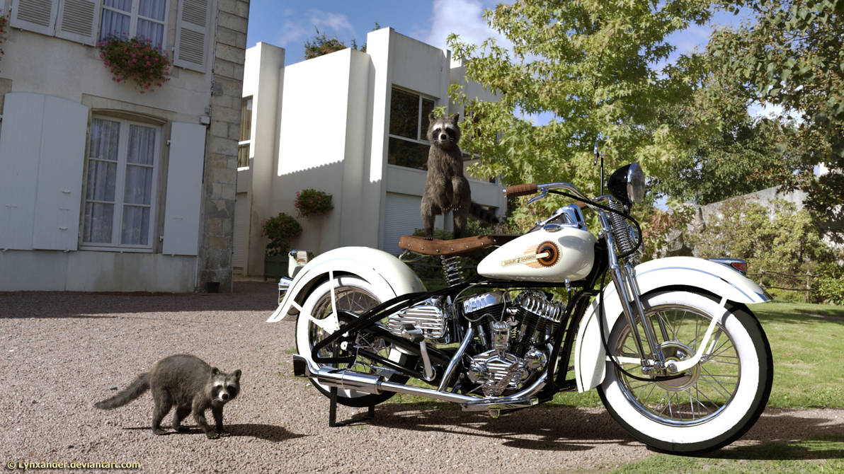 Raccoon riders by Lynxander on DeviantArt