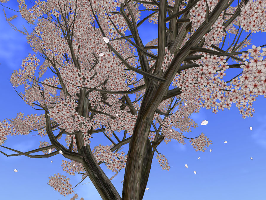 Soe Trees SoE - Tree by Fuksja4 on DeviantArt