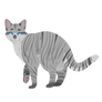 [WARRIOR CATS] Silverstream