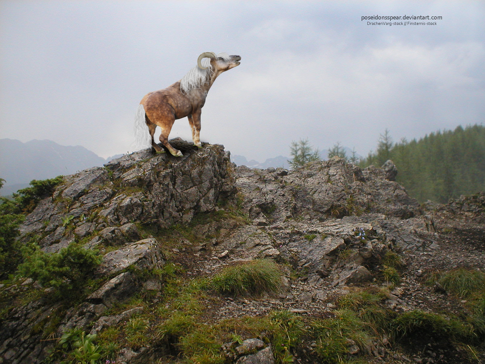 .:Mountain Ram pony:.