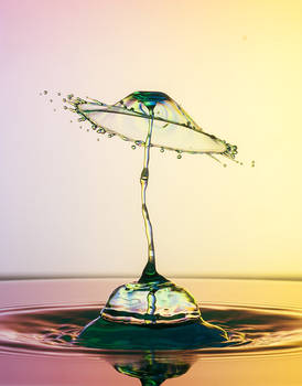 liquid lamp