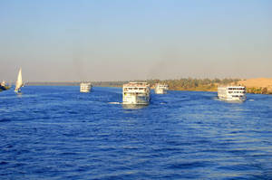 On The Nile 6