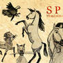 S P I R I T