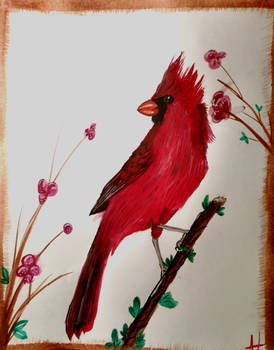 Spring Cardinal watercolor painting