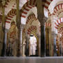 The Mosque of Cordob - Spain