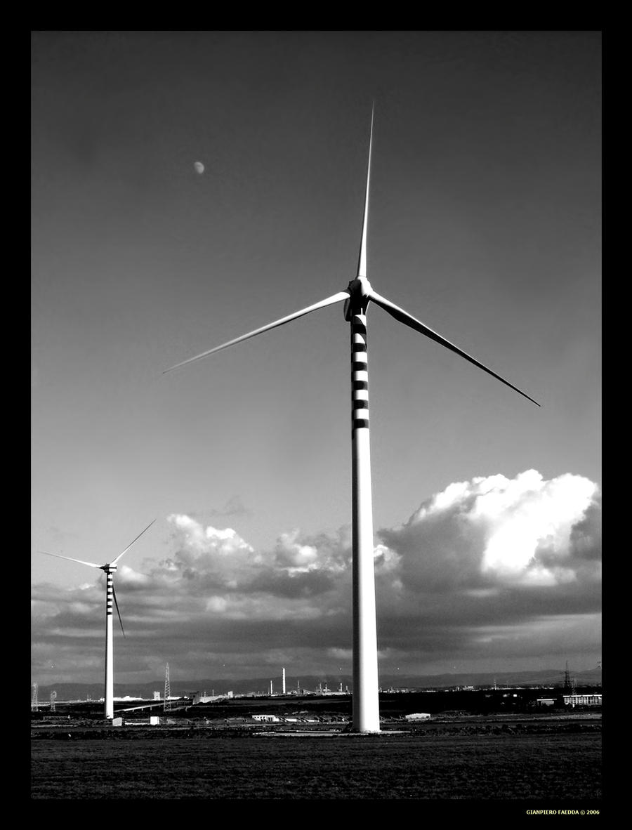 WIND FARM