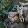 Kit Fox Soft Mount***SOLD***