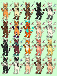 Cat Adopt $2/ 200pts. (20/20 Open)