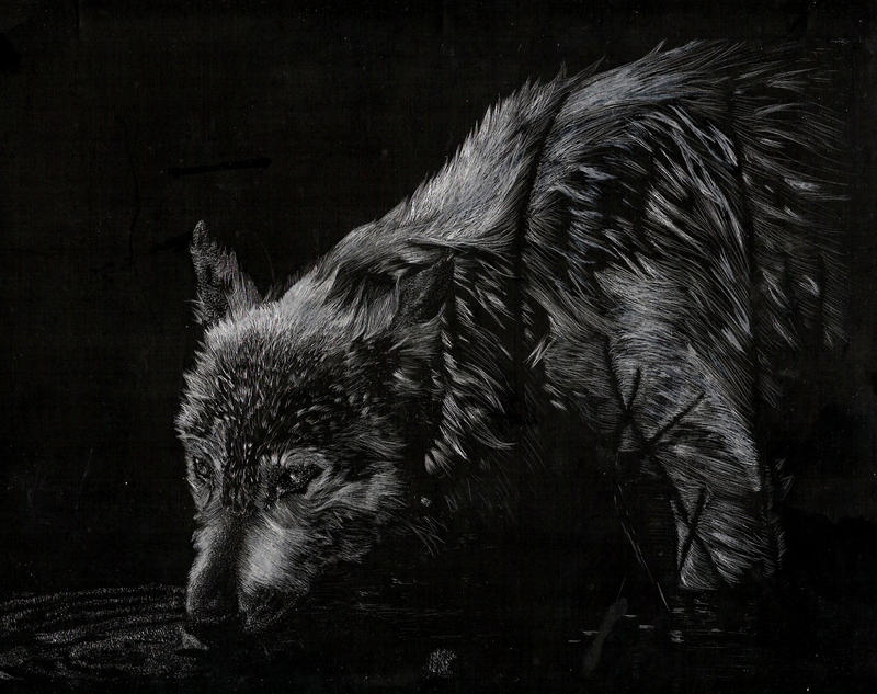 Art Project: Scratch Board