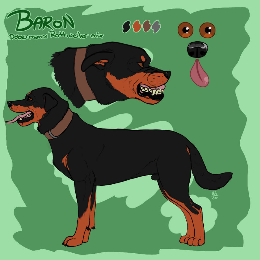 Baron Reference Baron Reference Sheet by HeikeHowl on DeviantArt