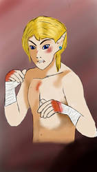 boxer link