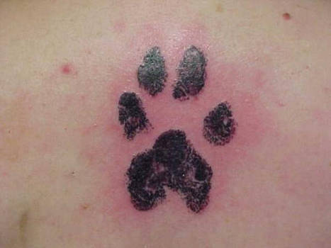 puppy print