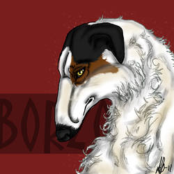 Borzoi