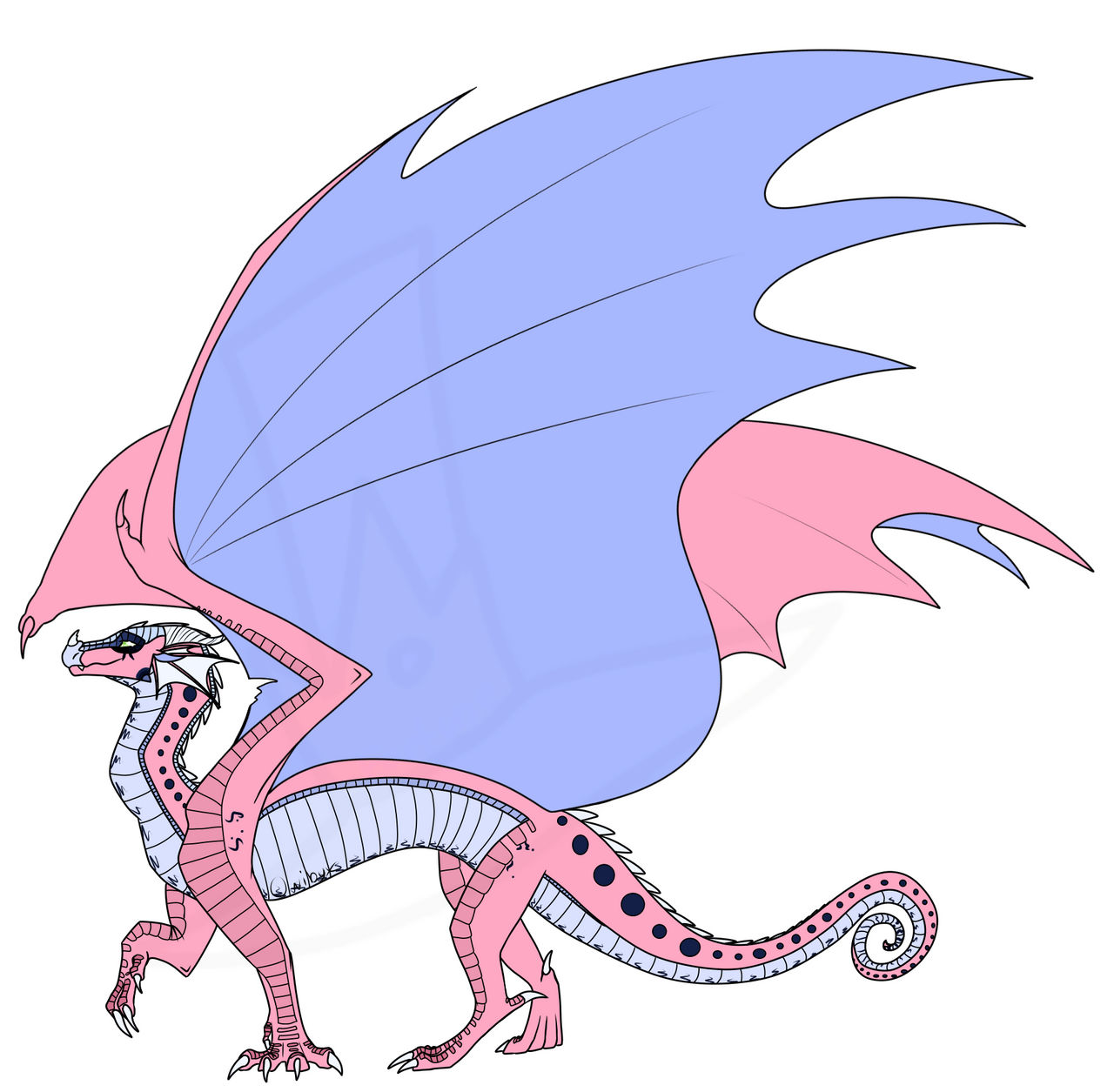 Red Rainwing Rainwing Ota- Adopted by FortuneKCCTHF on DeviantArt