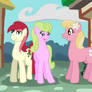 MLP -- Flower Trio