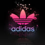 Adidas Contest