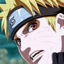 Naruto is Back