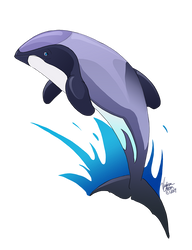 Maui Dolphin