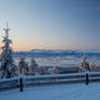 Winter landscape at dawn