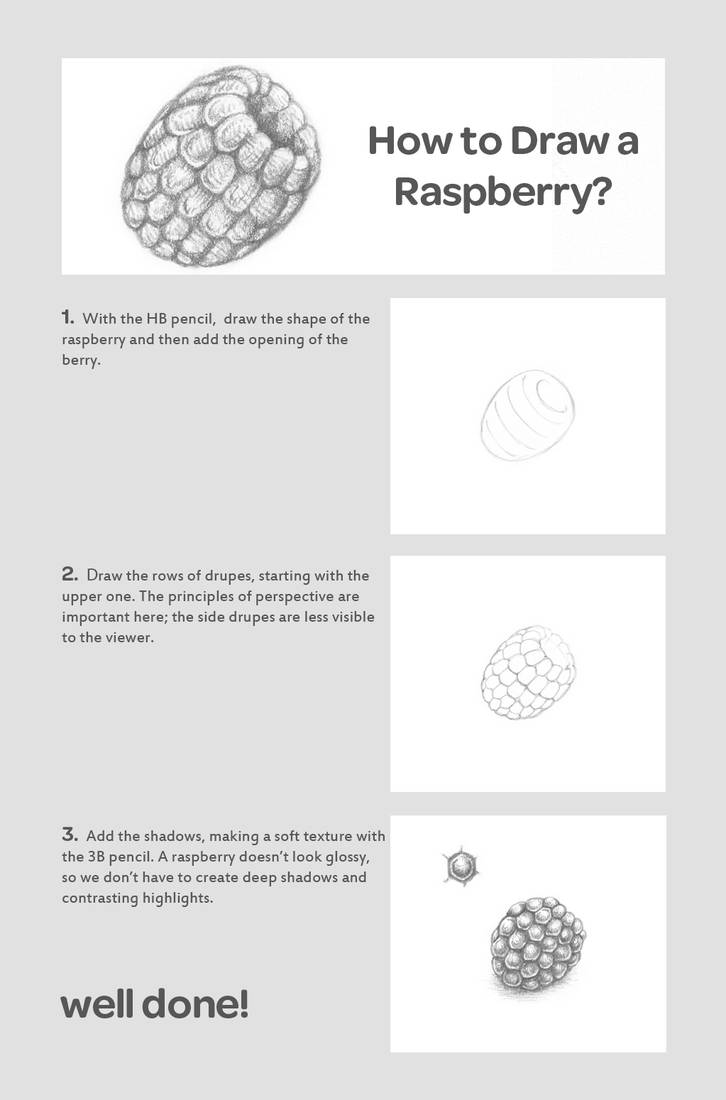 Tutorial - How to Draw a Raspberry by tashamille on DeviantArt