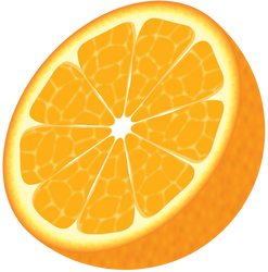 Delicious Vector Orange