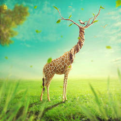 Surreal Giraffe