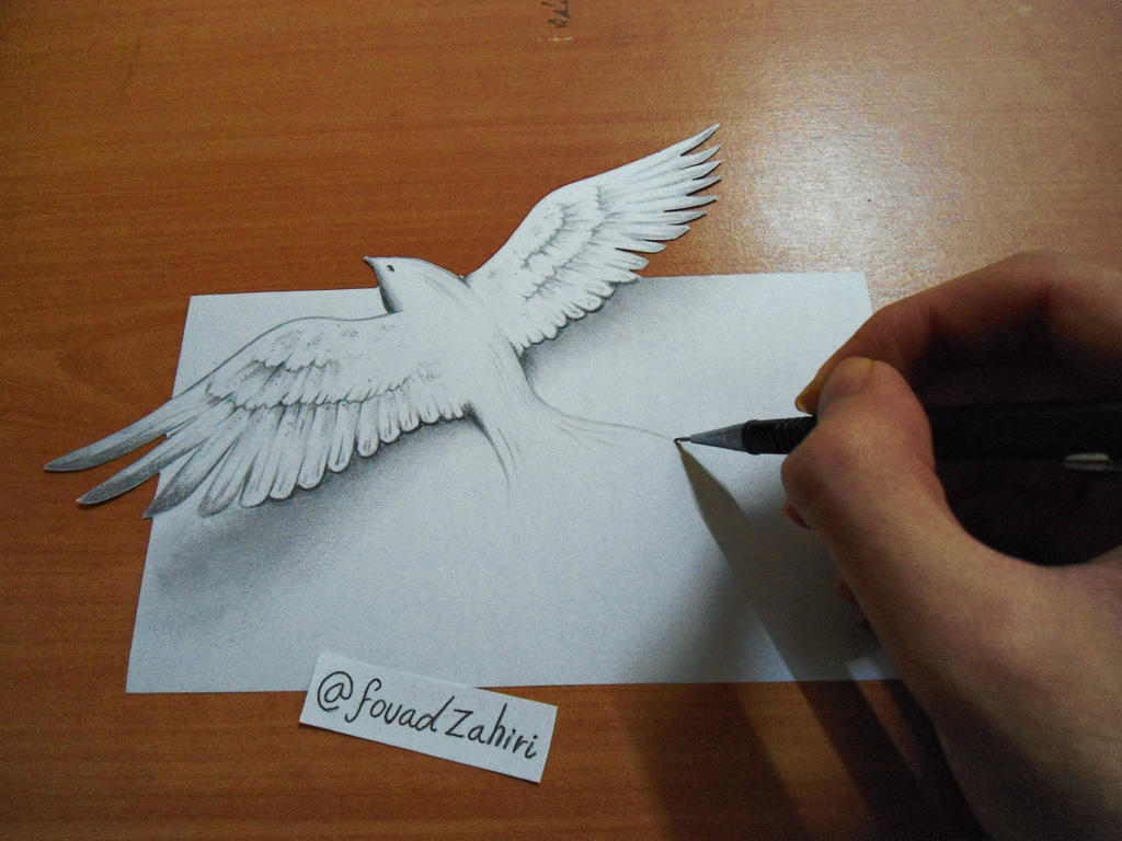 3d bird drawing