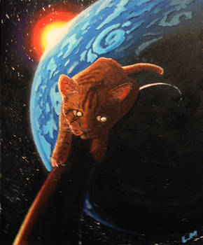 Space cat