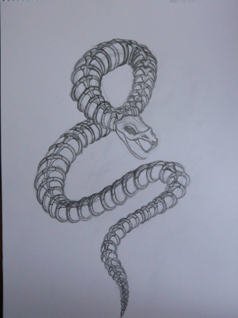 Snake skeleton by snowyblackrose on DeviantArt