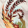 Open - Phoenix