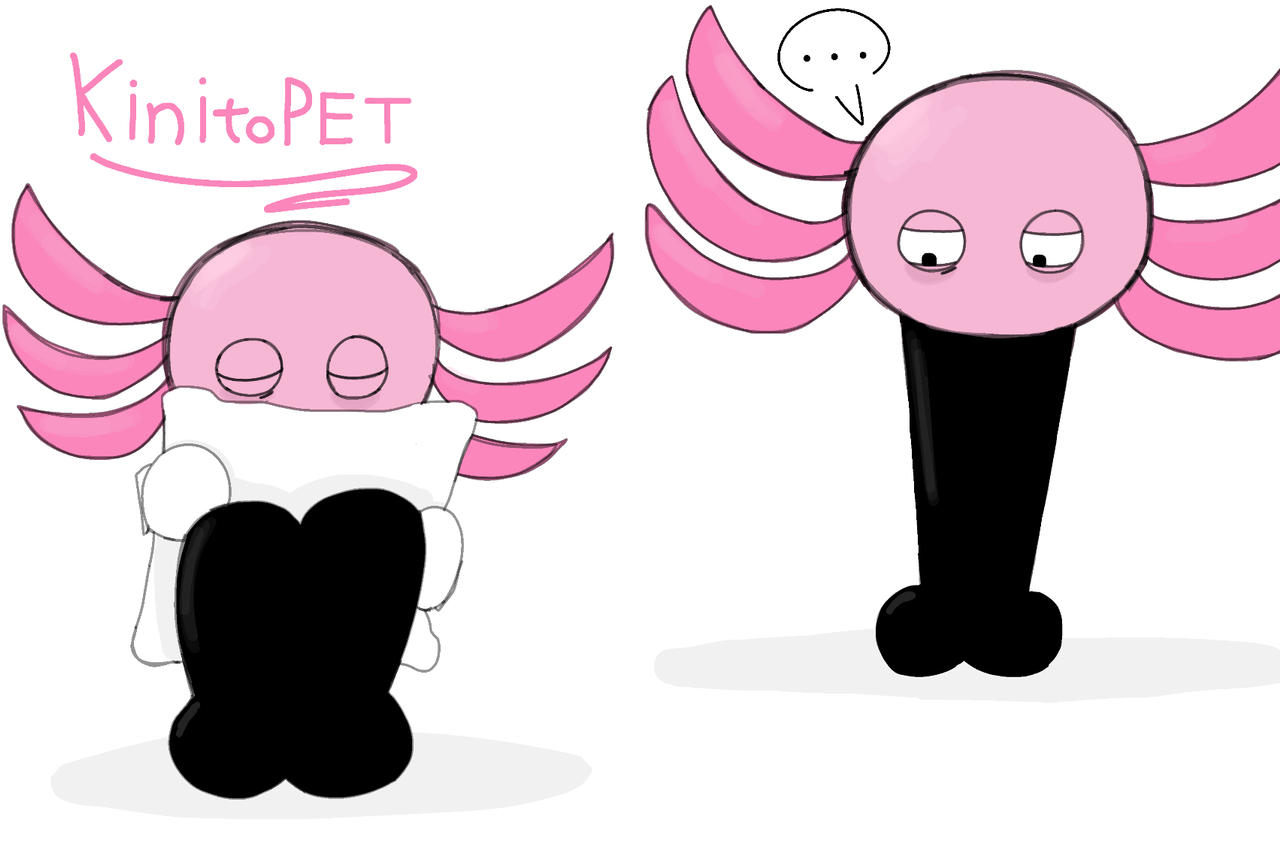 Kinitopet R KinitoPET by kittycattak on DeviantArt