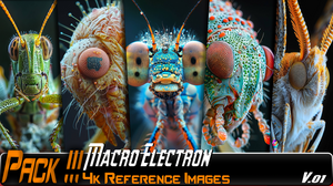 Macro Electron 5 Images