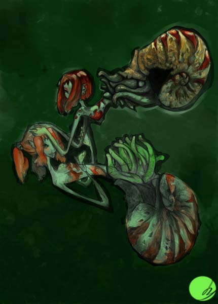 Nautilus maid