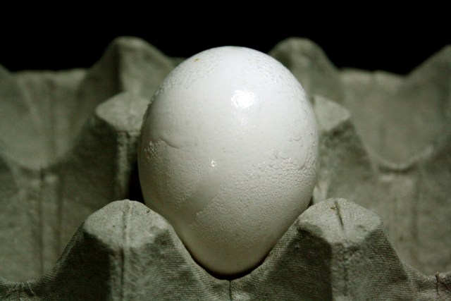 an egg