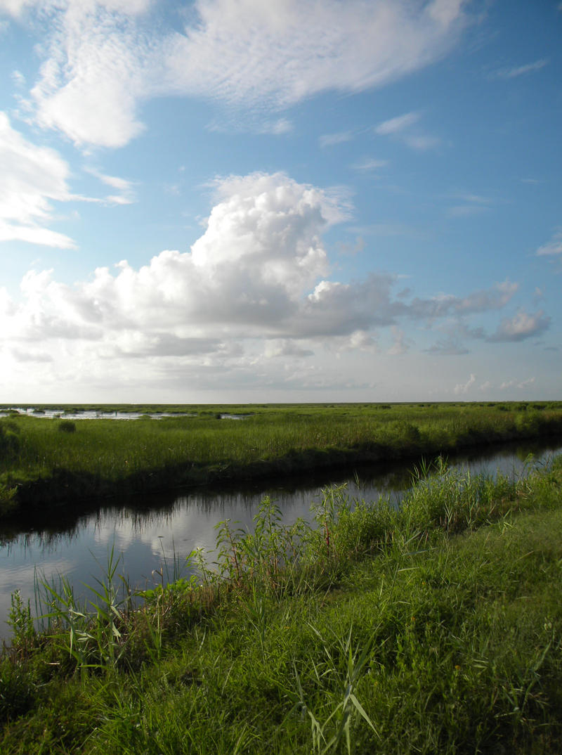 On The Bayou