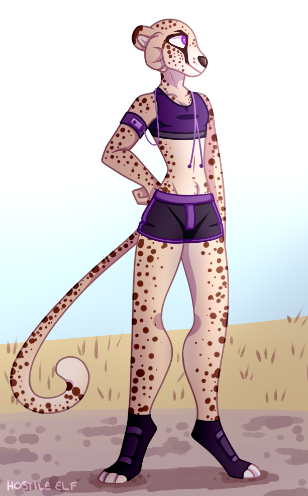 cheetah