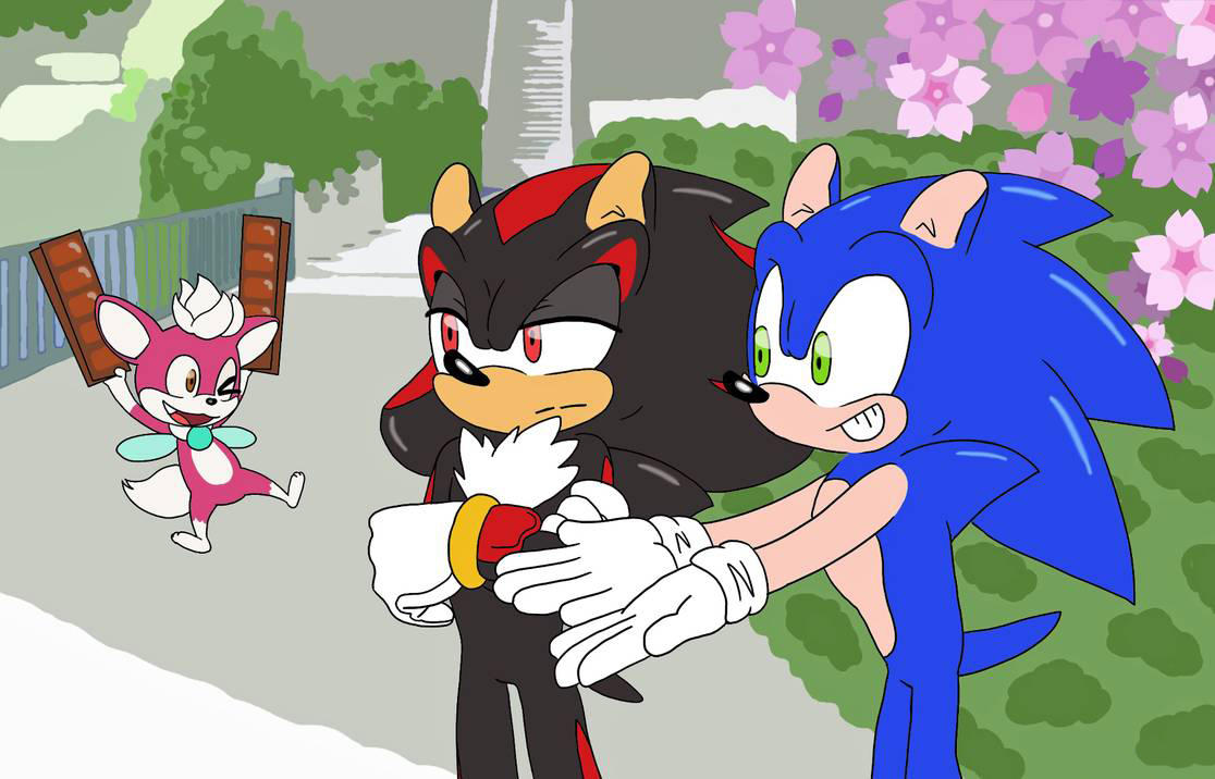 Shadow meets Chip ~ by Nyku7 on DeviantArt